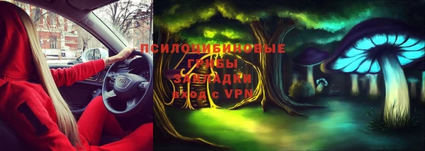 меф Богородицк