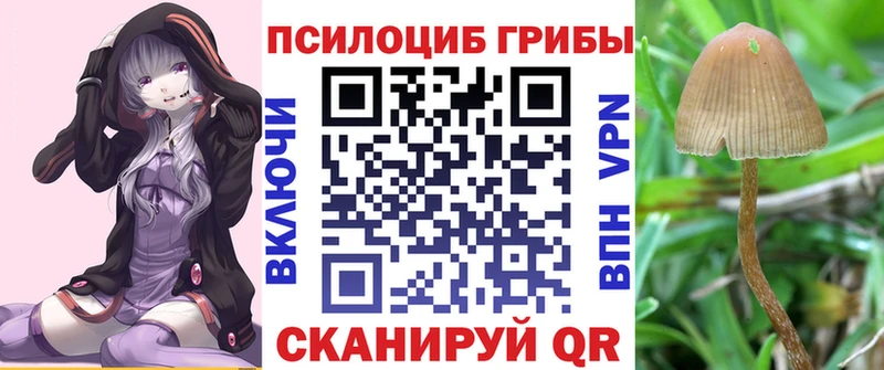 Псилоцибиновые грибы ЛСД  гидра зеркало  площадка официальный сайт  даркнет сайт  Белово 