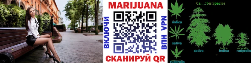 где купить наркотик  Белово  Бошки марихуана SATIVA & INDICA 